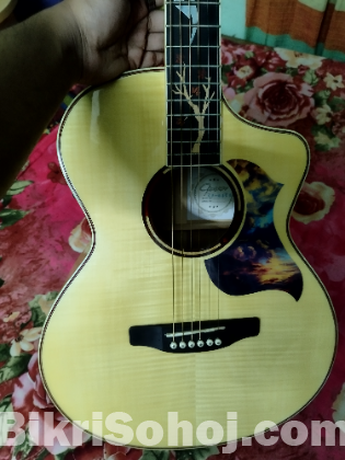 Guitar  --  Guson GF~63EFC